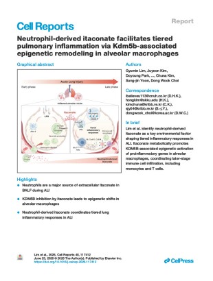Neutrophil-derived itaconate facilitates tiered pulmonary inflammation via Kdm5b-associated epigenetic remodeling in alveolar macrophages.