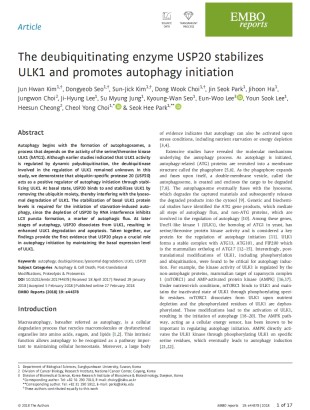 The deubuiquitinating enzyme USP20 stabilize ULK1 and promotes autophagy initiation.