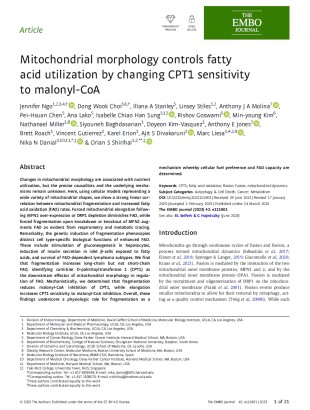 Mitochondrial morphology controls fatty acid utilization by changing CPT1 sensitivity to malonyl-CoA.