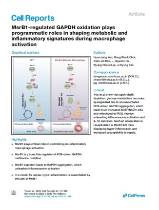 MsrB1-regulated GAPDH oxidation plays programmatic roles in shaping metabolic and inflammatory signatures during macrophage activation.