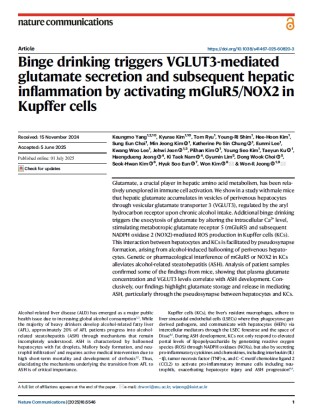Binge drinking triggers VGLUT3-mediated glutamate secretion and subsequent hepatic inflammation by activating mGluR5/NOX2 in Kupffer cells.